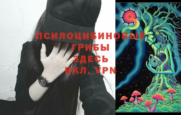spice Абинск