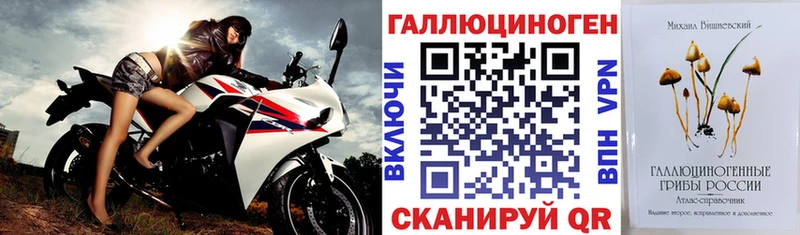 Псилоцибиновые грибы ЛСД  Приморско-Ахтарск 